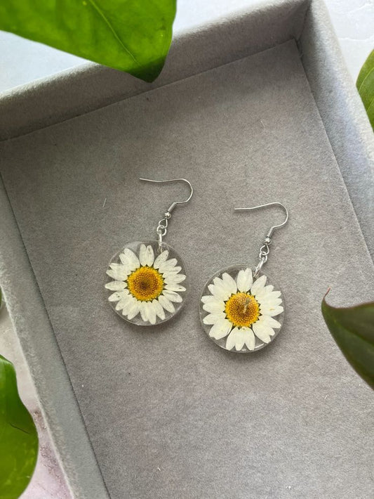 Daisy Resin Earrings | Real Flower Round Drop Earrings